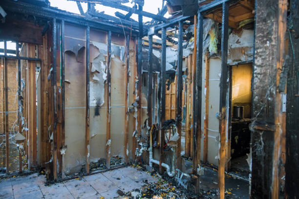 Professional Fire Damage Repair technician working in Evergreen, CO